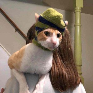 Meet your Posher, Pascaline